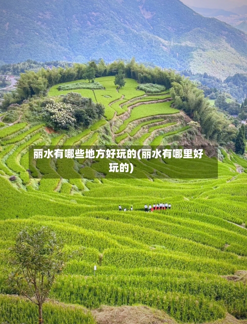 丽水有哪些地方好玩的(丽水有哪里好玩的)