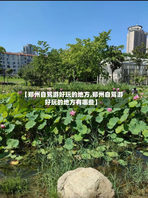 【郑州自驾游好玩的地方,郑州自驾游好玩的地方有哪些】-第2张图片