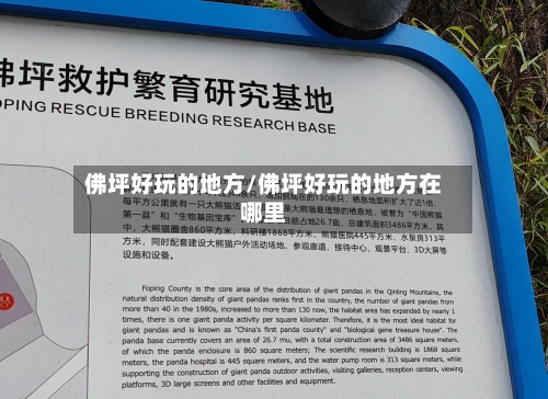 佛坪好玩的地方/佛坪好玩的地方在哪里
