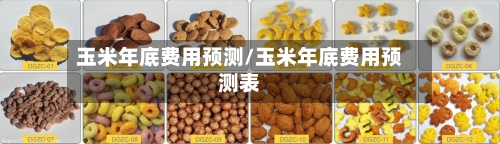 玉米年底费用预测/玉米年底费用预测表