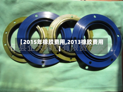 【2015年橡胶费用,2013橡胶费用】
