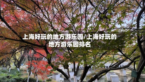 上海好玩的地方游乐园/上海好玩的地方游乐园排名
