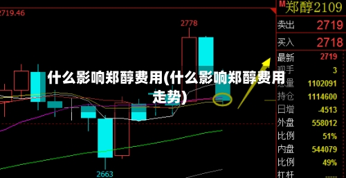 什么影响郑醇费用(什么影响郑醇费用走势)