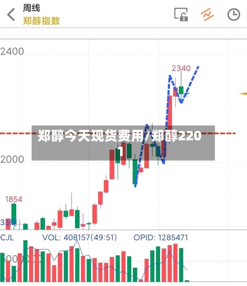 郑醇今天现货费用/郑醇2201