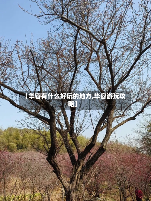【华容有什么好玩的地方,华容游玩攻略】