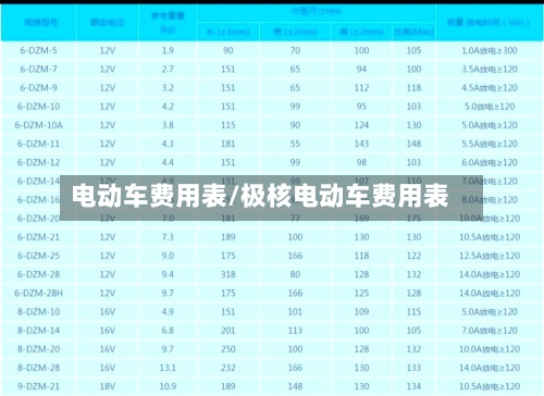 电动车费用表/极核电动车费用表-第2张图片