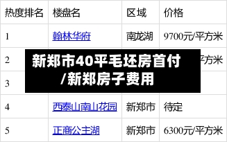 新郑市40平毛坯房首付/新郑房子费用-第2张图片