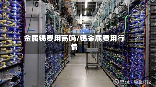 金属锡费用高吗/锡金属费用行情