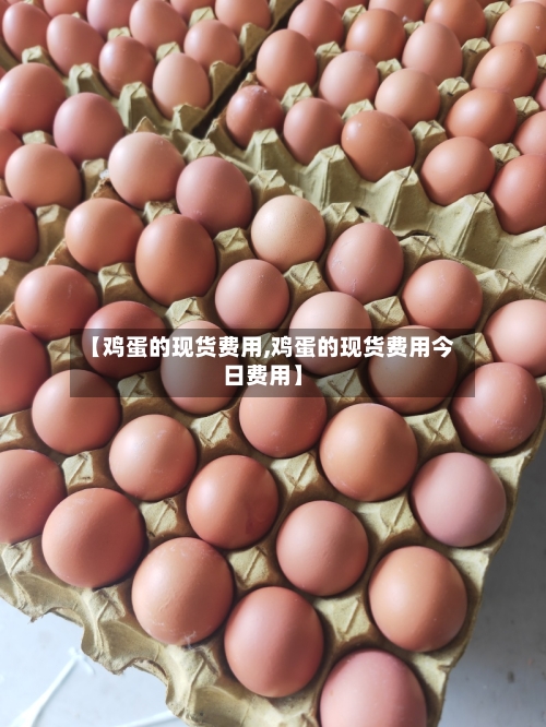 【鸡蛋的现货费用,鸡蛋的现货费用今日费用】