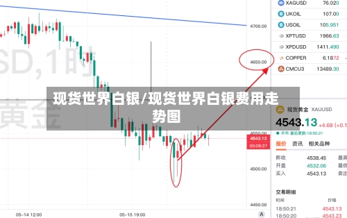 现货世界白银/现货世界白银费用走势图