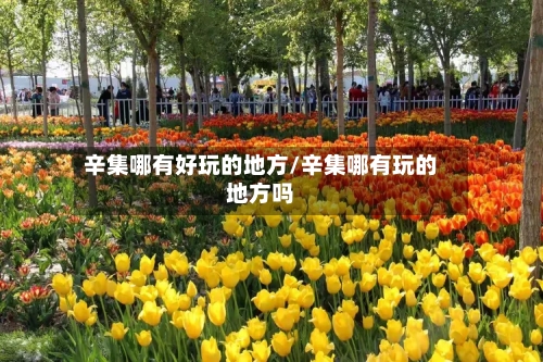 辛集哪有好玩的地方/辛集哪有玩的地方吗
