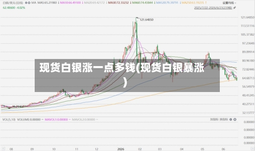 现货白银涨一点多钱(现货白银暴涨)