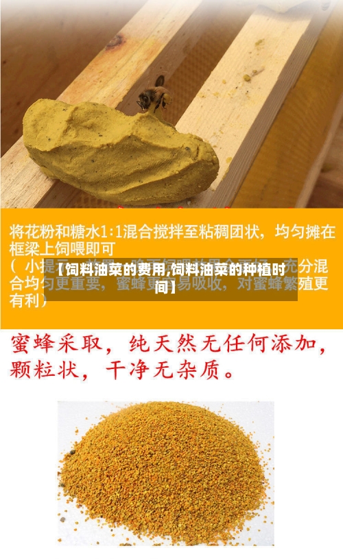 【饲料油菜的费用,饲料油菜的种植时间】