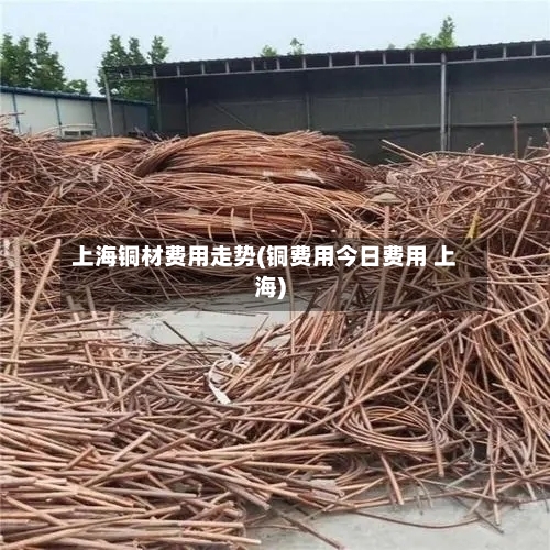 上海铜材费用走势(铜费用今日费用 上海)