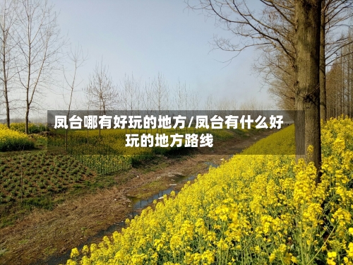 凤台哪有好玩的地方/凤台有什么好玩的地方路线