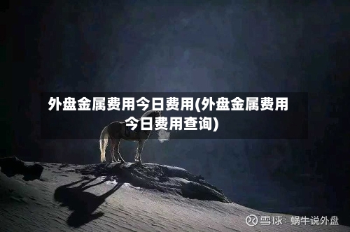 外盘金属费用今日费用(外盘金属费用今日费用查询)