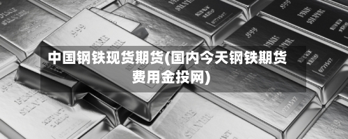 中国钢铁现货期货(国内今天钢铁期货费用金投网)