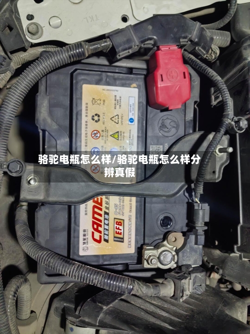 骆驼电瓶怎么样/骆驼电瓶怎么样分辨真假