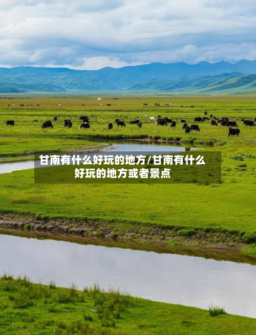 甘南有什么好玩的地方/甘南有什么好玩的地方或者景点