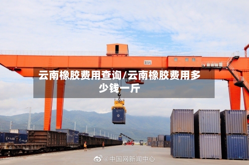 云南橡胶费用查询/云南橡胶费用多少钱一斤