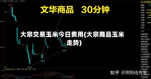 大宗交易玉米今日费用(大宗商品玉米走势)