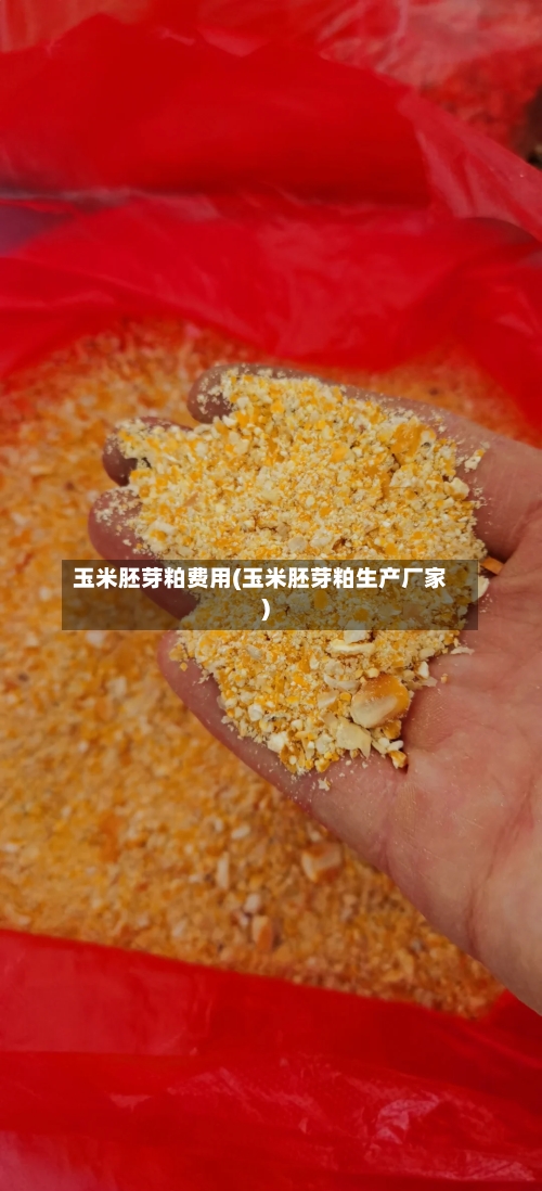 玉米胚芽粕费用(玉米胚芽粕生产厂家)