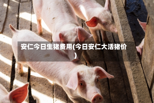 安仁今日生猪费用(今日安仁大活猪价)