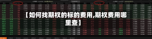 【如何找期权的标的费用,期权费用哪里查】