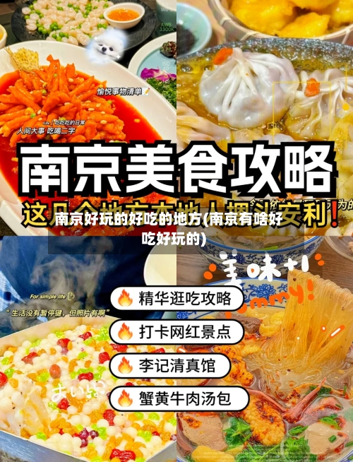 南京好玩的好吃的地方(南京有啥好吃好玩的)-第3张图片