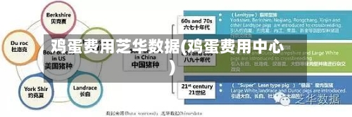 鸡蛋费用芝华数据(鸡蛋费用中心)