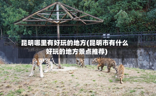 昆明哪里有好玩的地方(昆明市有什么好玩的地方景点推荐)
