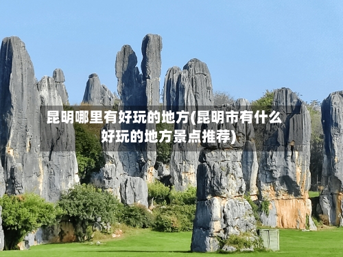 昆明哪里有好玩的地方(昆明市有什么好玩的地方景点推荐)-第2张图片