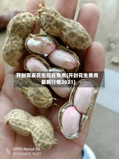 开封带皮花生现在费用(开封花生费用最新行情2021)