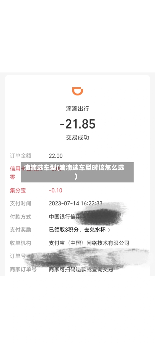滴滴选车型(滴滴选车型时该怎么选)-第3张图片
