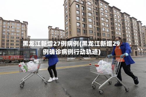 黑龙江新增27例病例(黑龙江新增29例确诊病例行动轨迹)-第2张图片