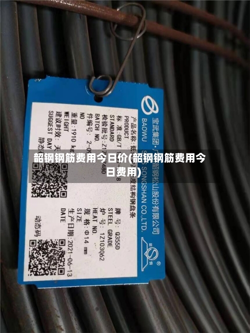 韶钢钢筋费用今日价(韶钢钢筋费用今日费用)-第3张图片