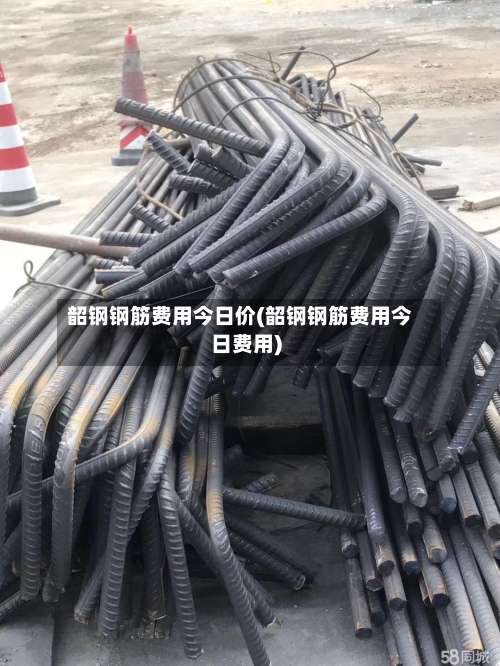韶钢钢筋费用今日价(韶钢钢筋费用今日费用)-第2张图片