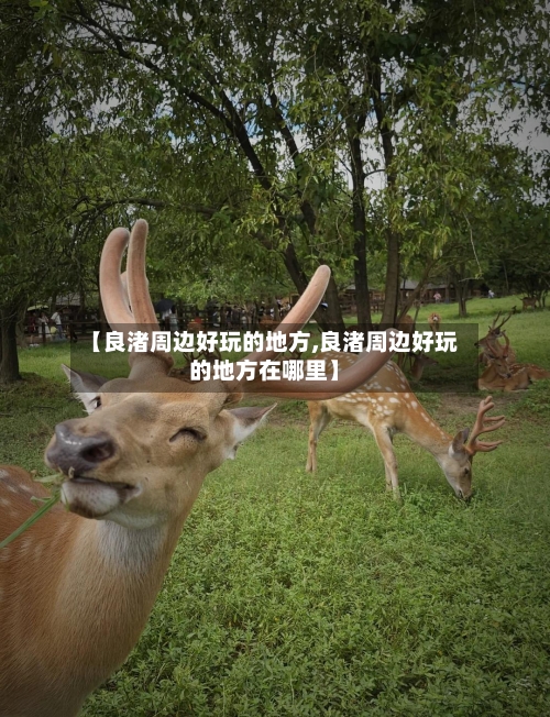 【良渚周边好玩的地方,良渚周边好玩的地方在哪里】