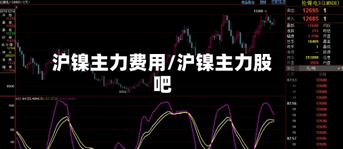 沪镍主力费用/沪镍主力股吧
