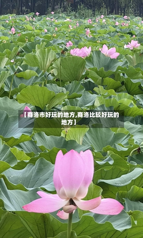 【商洛市好玩的地方,商洛比较好玩的地方】