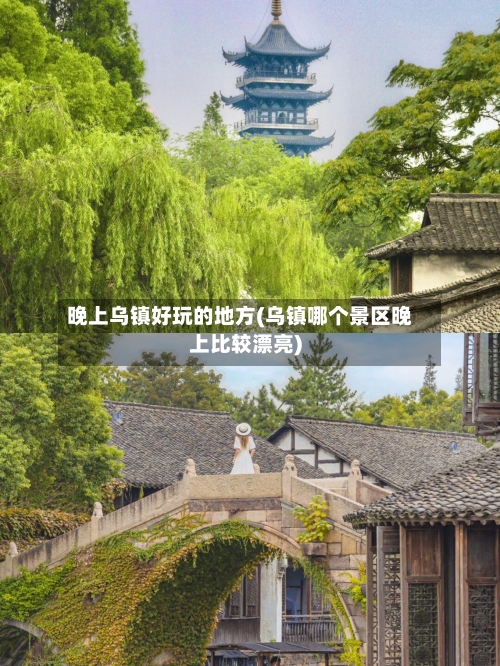 晚上乌镇好玩的地方(乌镇哪个景区晚上比较漂亮)-第3张图片