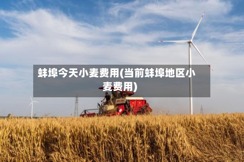 蚌埠今天小麦费用(当前蚌埠地区小麦费用)