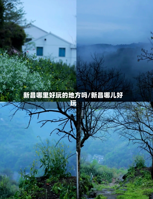新昌哪里好玩的地方吗/新昌哪儿好玩-第3张图片