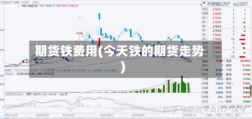 期货铁费用(今天铁的期货走势)