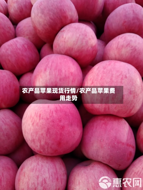 农产品苹果现货行情/农产品苹果费用走势-第3张图片