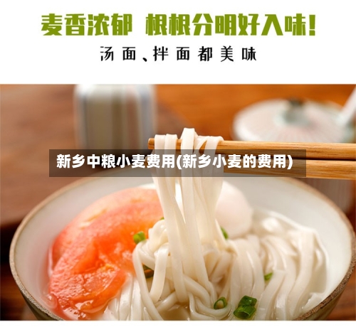 新乡中粮小麦费用(新乡小麦的费用)