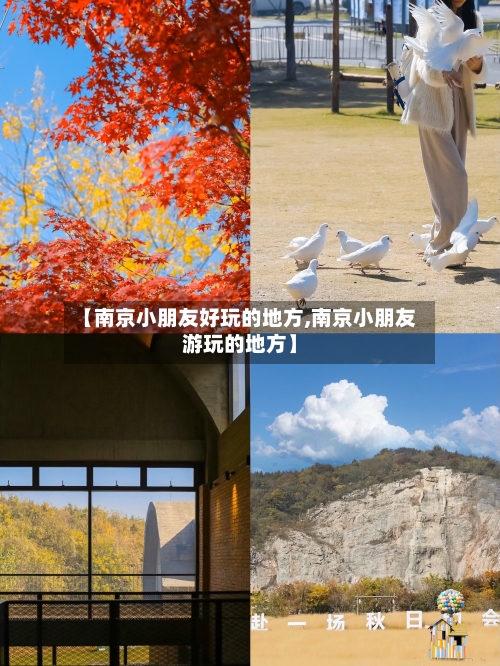 【南京小朋友好玩的地方,南京小朋友游玩的地方】-第2张图片