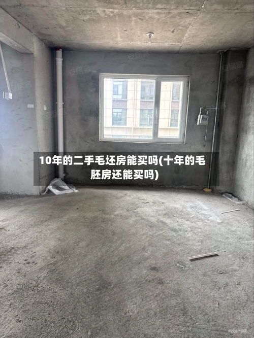 10年的二手毛坯房能买吗(十年的毛胚房还能买吗)