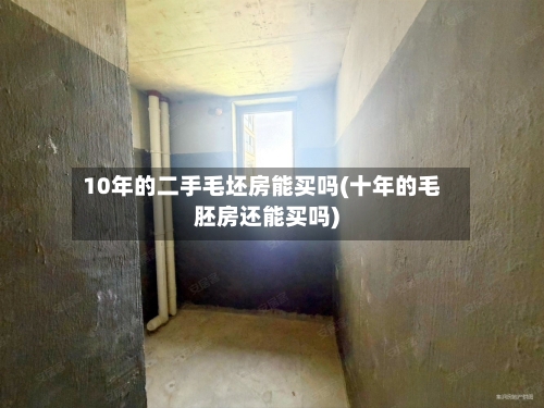 10年的二手毛坯房能买吗(十年的毛胚房还能买吗)-第2张图片