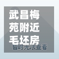 武昌梅苑附近毛坯房(武昌梅苑附近毛坯房出租)